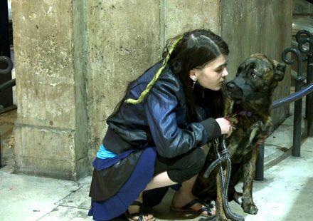 ΦΕΣΤΙΒΑΛ ΝΤΟΚΙΜΑΝΤΕΡ ΘΕΣΣΑΛΟΝΙΚΗΣ 2014 Α ΕΙΣΑΓΩΓΗ